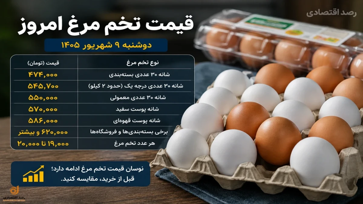 قیمت تخم مرغ امروز؛ شانه ۳۰ عددی چند شد و از کجا ارزان‌تر بخریم؟