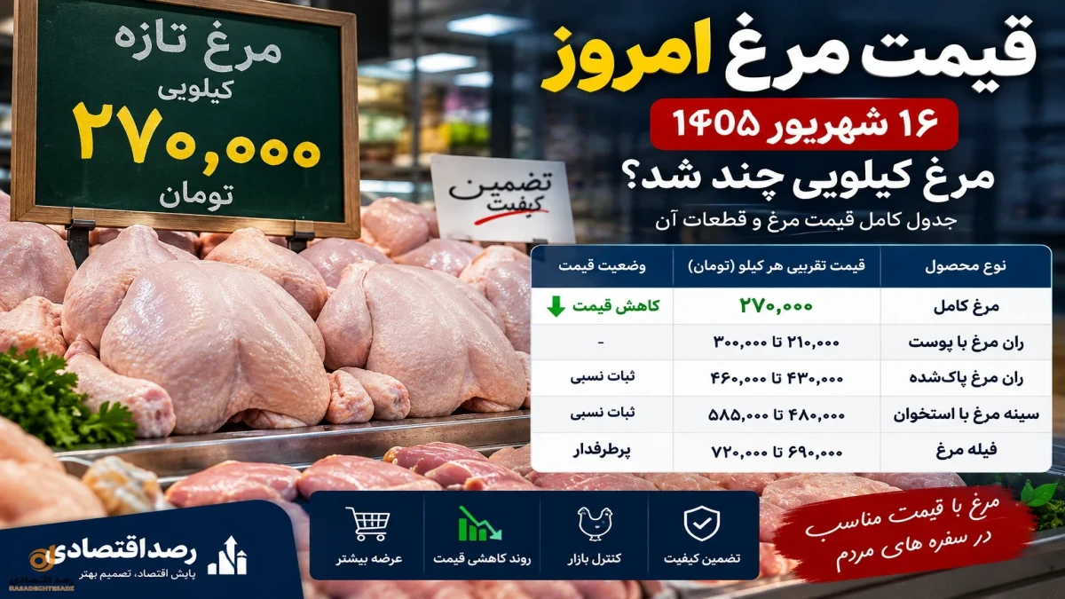 قیمت مرغ گرم امروز ۱۶ شهریور ۱۴۰۵ + جدول قیمت