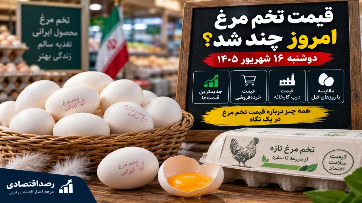 قیمت تخم مرغ امروز دوشنبه ۱۶ شهریور + جدول قیمت
