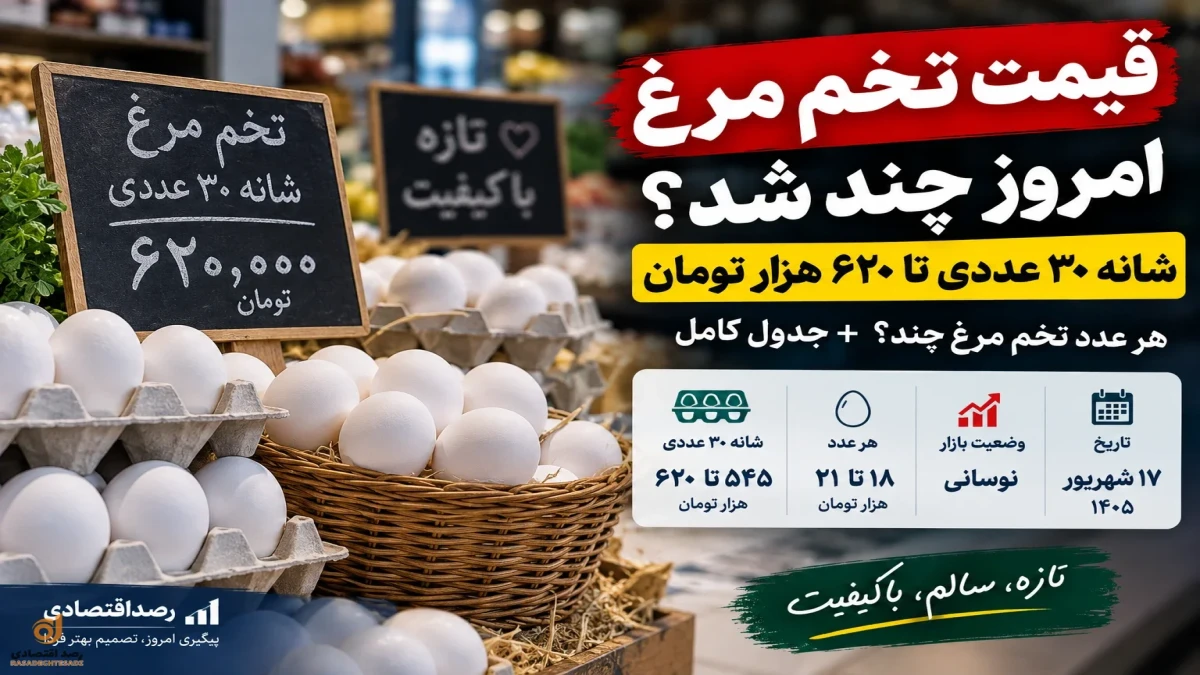 قیمت تخم مرغ امروز ۱۷ شهریور | قیمت شانه و هر دانه تخم مرغ