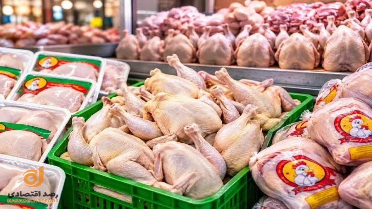 قیمت مرغ گرم امروز چهارشنبه ۲۵ شهریور ۱۴۰۵ چقدر است؟ هر کیلو مرغ کامل چند تومان شد؟ + جدول