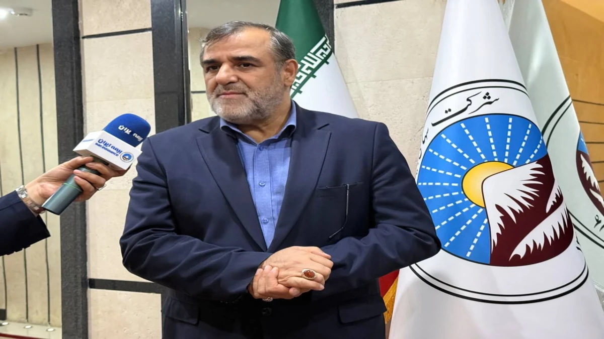بیمه ایران، بازوی توانمند دولت در مدیریت کلان ریسک‌های اقتصادی