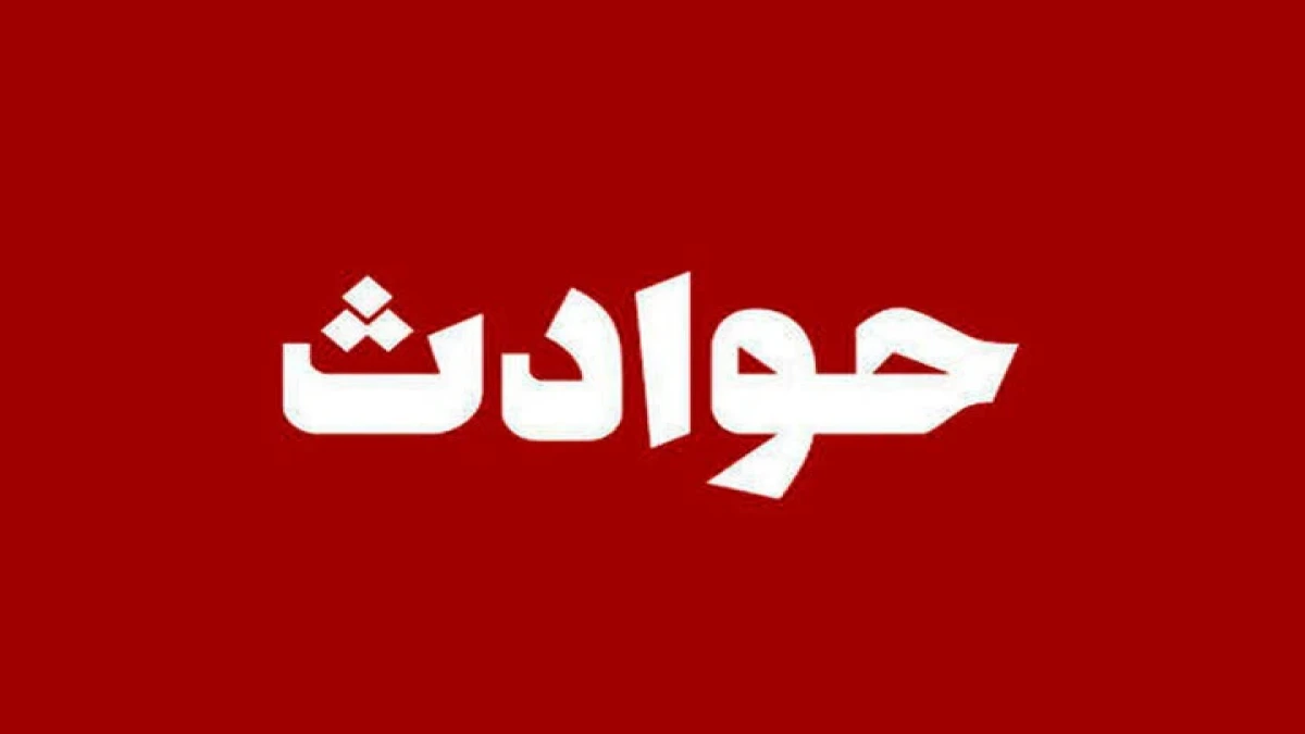 افشای سناریوی آدم‌ربایی ساختگی برای دریافت ۷۲ هزار یورو و خروج از کشور