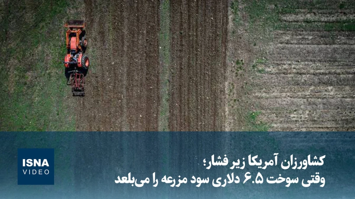 کشاورزان آمریکا زیر فشار افت درآمد و افزایش هزینه‌های تولید