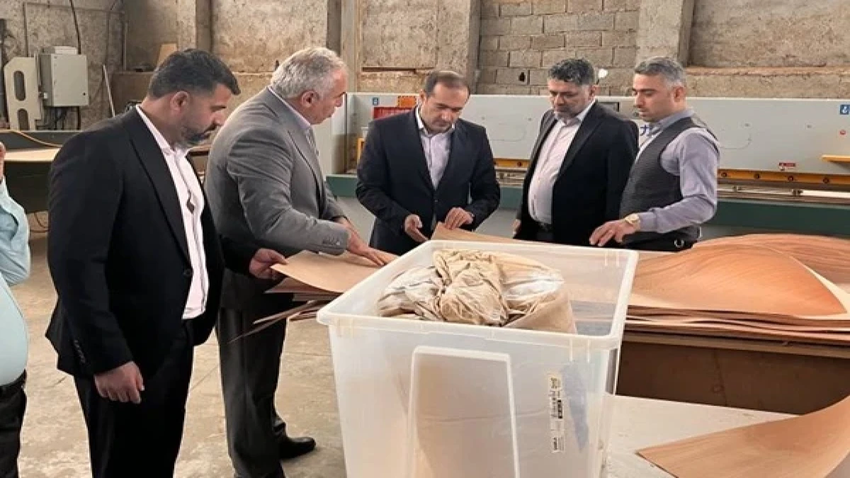 تأکید تاسیکو بر رفع موانع زنجیره ارزش چوب خزر کاسپین