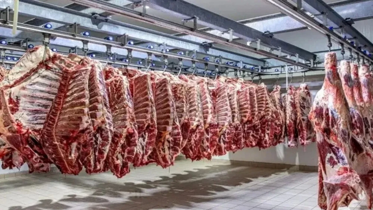 قیمت گوشت قرمز امروز پنجشنبه ۲۳ مهر ۱۴۰۵؛ گوشت گوسفندی و گوساله چند تومان است؟ + مقایسه با هفته قبل