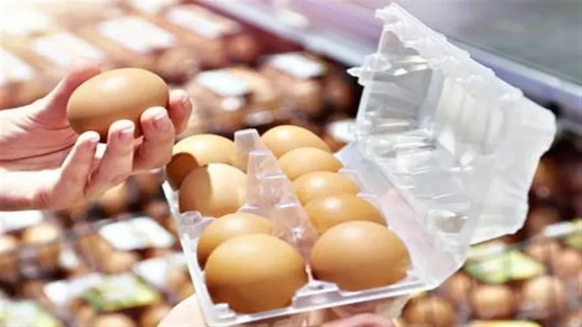 قیمت تخم‌مرغ امروز جمعه ۲۴ مهر ۱۴۰۵؛ شانه ۳۰ عددی در بازار و میادین چند تومان است؟ + جدول