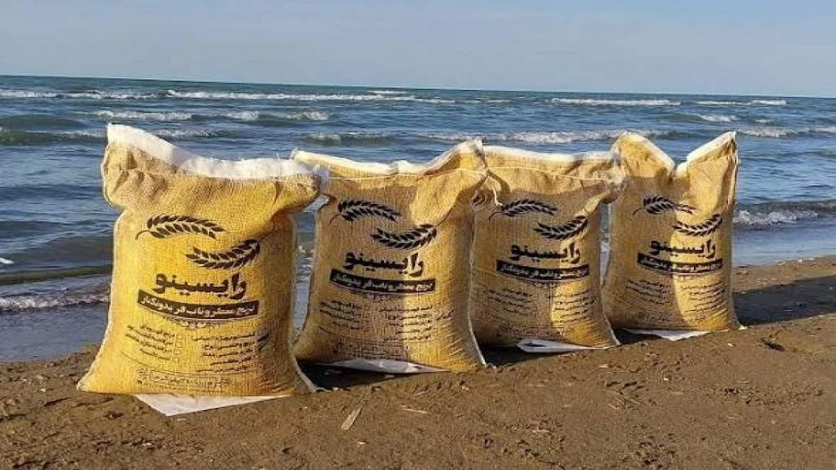 قیمت برنج امروز ۲۵ مهر؛ کیسه ۱۰ کیلویی تا ۵ میلیون و ۴۵۰ هزار تومان! برنج ایرانی بخریم یا خارجی؟
