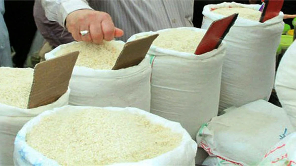 قیمت برنج ۲۹ مهر ۱۴۰۵؛ برنج ایرانی تا کیلویی ۵۲۰ هزار تومان! قیمت جدید هاشمی، طارم، هندی و پاکستانی + جدول
