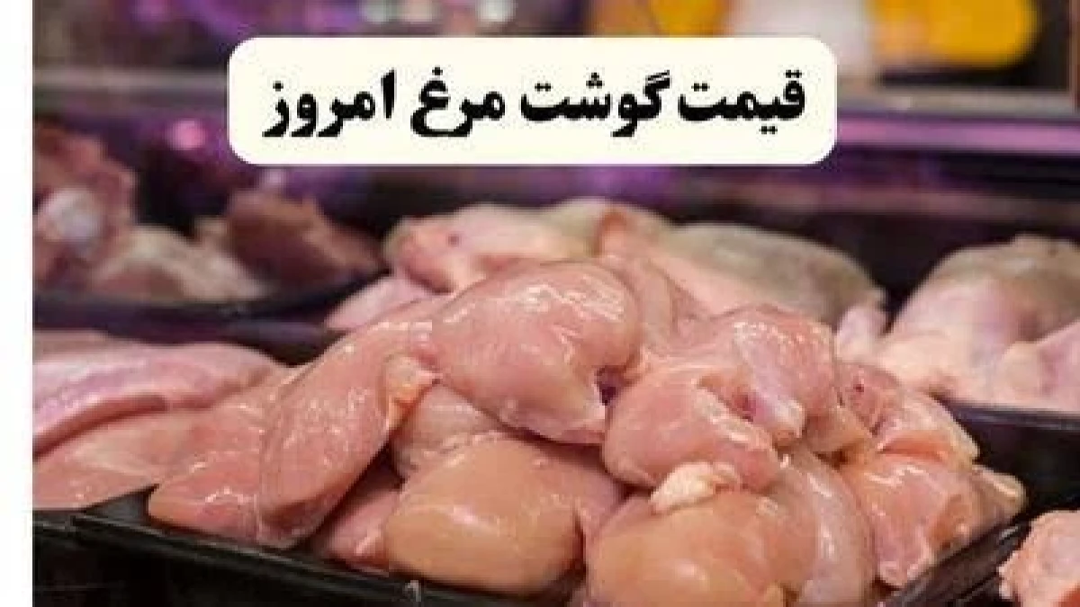 شوک جدید قیمت مرغ امروز ۳۰ مهر ۱۴۰۵؛ مرغ گرم کیلویی ۳۷۰ هزار تومان شد | مرغ منجمد چند است؟ + جدول قیمت