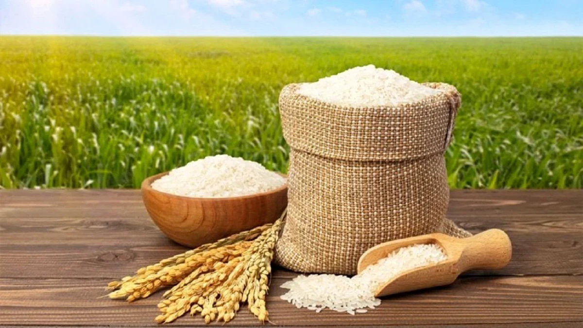 شوک قیمتی در بازار برنج؛ هاشمی و طارم کیلویی ۳۲۰ هزار تومان شد!
