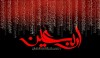 نماد همبستگی و عشق به اهل بیت (ع)