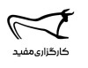 افتخارات بین‌المللی و جایگاه در FEAS