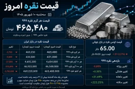 قیمت نقره به تومان امروز  سه شنبه | جدول