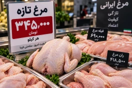 قیمت مرغ امروز ۱۴ شهریور + جدول