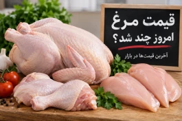 قیمت مرغ امروز دوشنبه ۲۳ شهریور + جدول قیمت سینه، ران و فیله